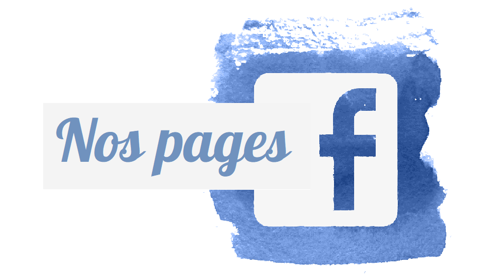 pages facebook wp